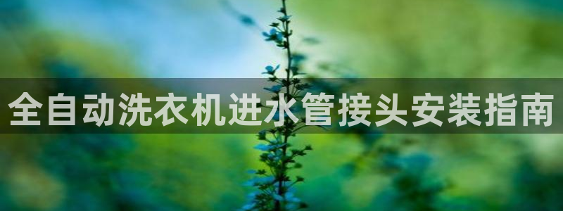 球盟会手机网页版