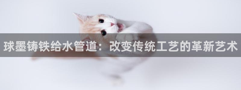 球盟会网页登录