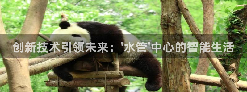 球盟会网址qm9 - 球盟会qmh网页版登录