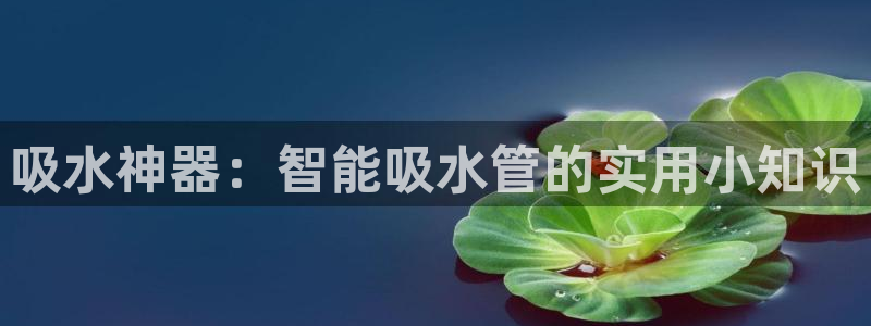 球盟会综合app下载