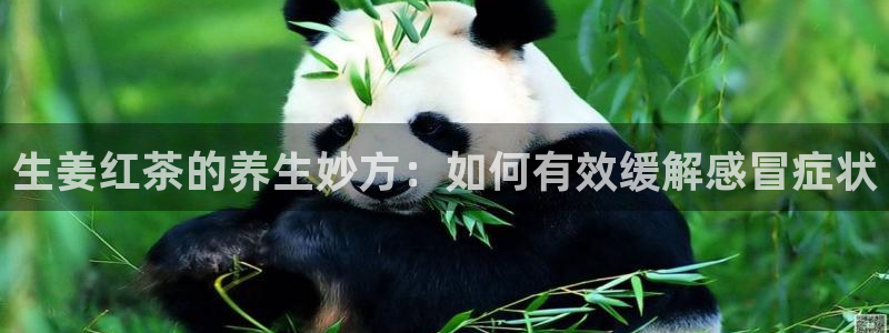 球盟会几点玩合适