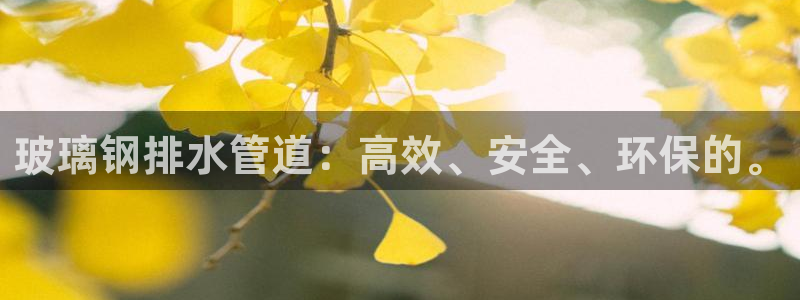 球盟会官方网站是什么