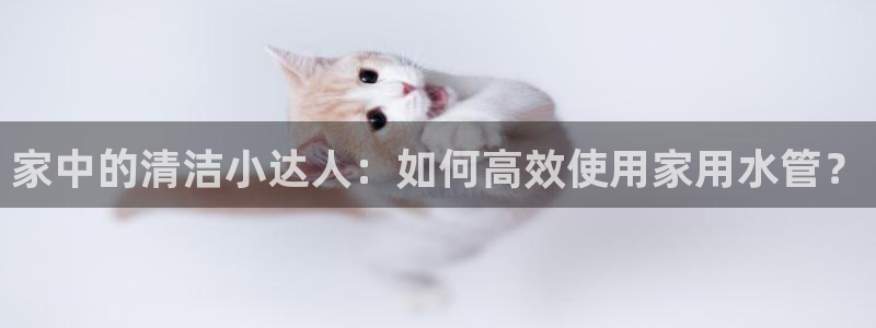 球盟会类似的网站