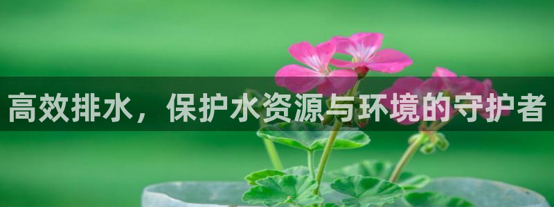 球盟会官方网页登录