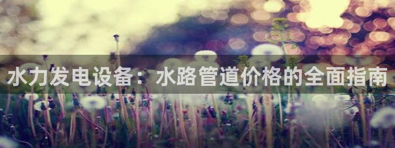 球盟会中国网页登录