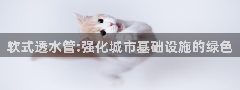 球盟会qmh - 球盟会官方网站