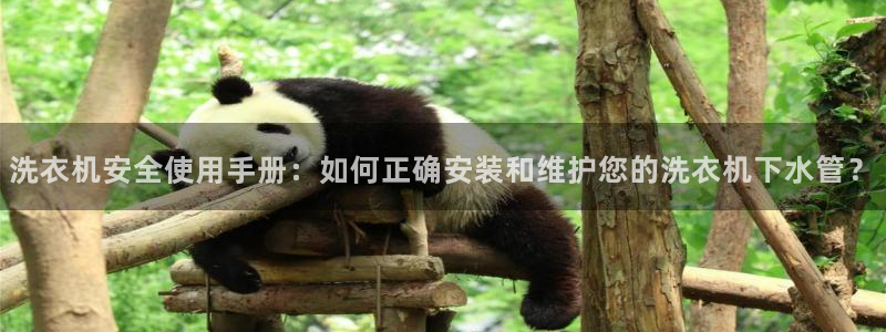 球盟会可以提现么是真的吗