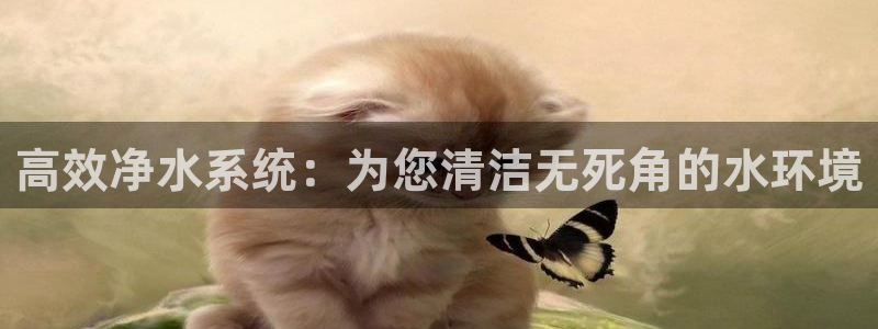 球盟会登录平台