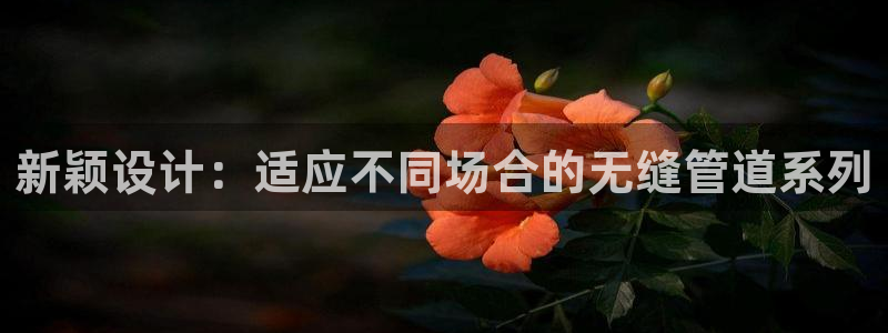 球盟会官方下载