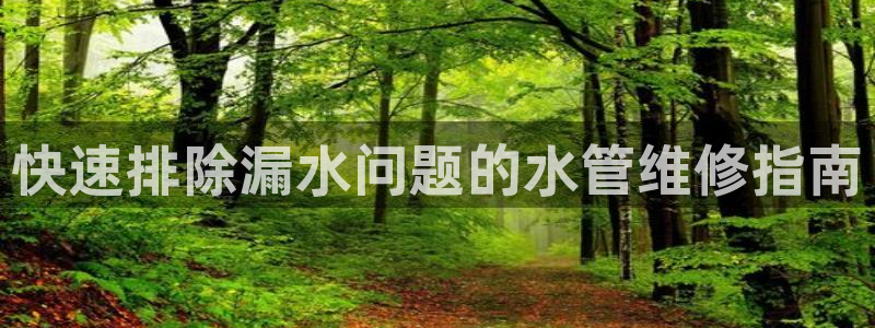 球盟会登录网址