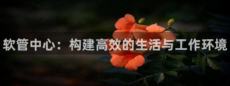 球盟会APP最新地址