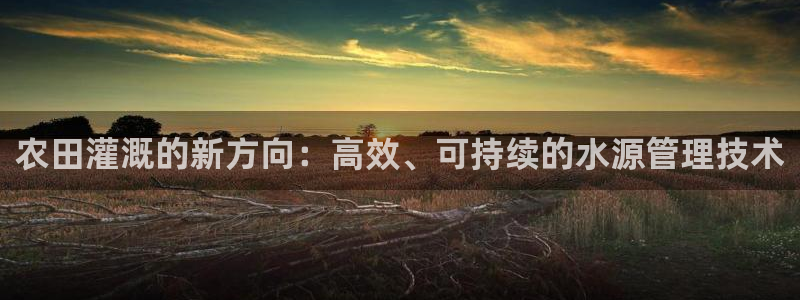 球盟会官网入口