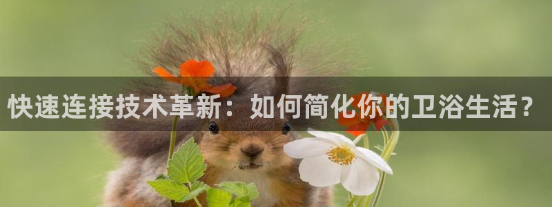 球盟会和中欧合作吗