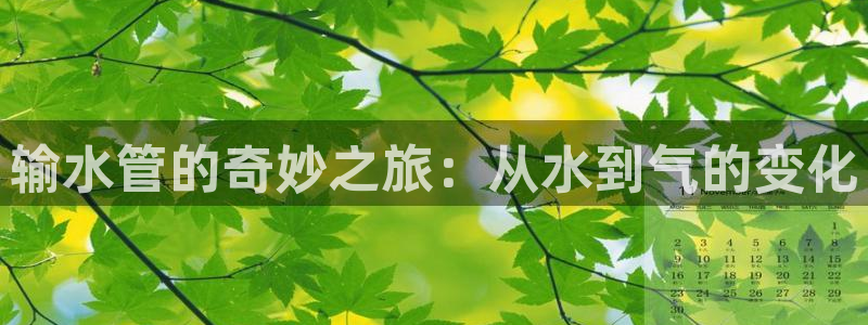 球盟会官方登录平台入口