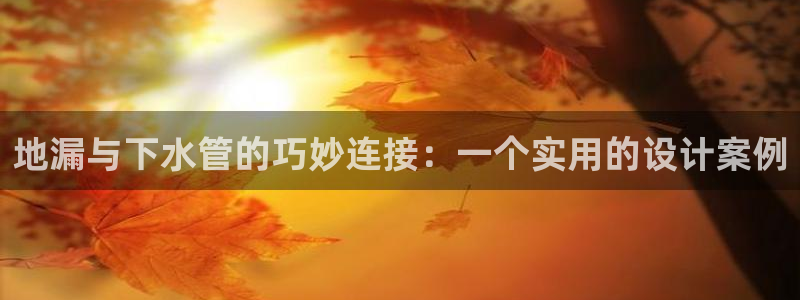 球盟会平台会黑单吗