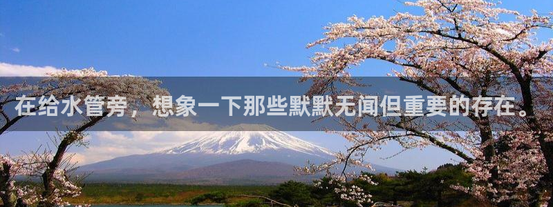 球盟会体验金